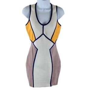 Akira Chicago Black Label bodycon dress